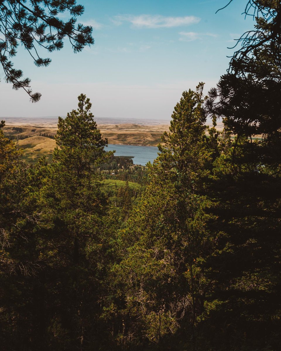 Aliciahphoto's tweet photo. Successful camping/hiking weekend despite the fire ban! Always good to get out into the #Alberta wilderness. #cypresshills #elkwater https://t.co/BXrbyYB0x4