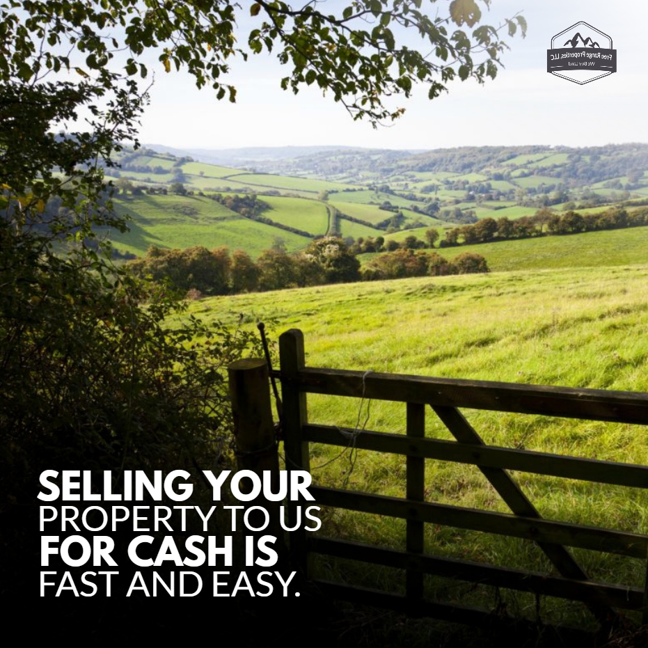 FreeRangeProp's tweet image. We can walk you through the steps and show you how to do it. Then we’ll make you an offer that we feel will work for both you and us.
-----
Learn more: freerangeproperties.net
.
#freerangeproperties #land #realestate #nature #landscape #property #realtor #house #realestateagent