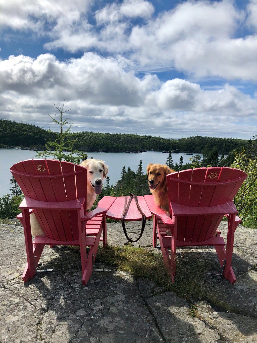 It's time to watch the wave action at Pukaskwa NP. Even your dogs will SIT AND STAY. Remember to keep your pets on a leash for the safety of wildlife and visitors.

pc.gc.ca/en/pn-np/on/pu…