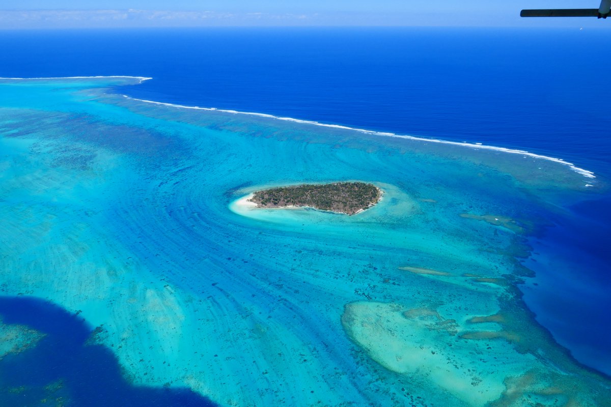 ニューカレドニア観光局公式アカウント グリーン島 といえばオーストラリアを思い浮かべる方が多いですが 実は ニューカレドニア にも引けを取らない美しさのグリーン島が 世界遺産に登録されている海域に浮かぶこの島は 日帰り旅行にぴったり ニューカレドニア観光局公式アカウント グリーン島 といえばオーストラリアを思い浮かべる方が多いですが 実は ニューカレドニア にも引けを取らない美しさのグリーン島が 世界遺産に登録されている海域に浮かぶこの島は 日帰り旅行にぴったり