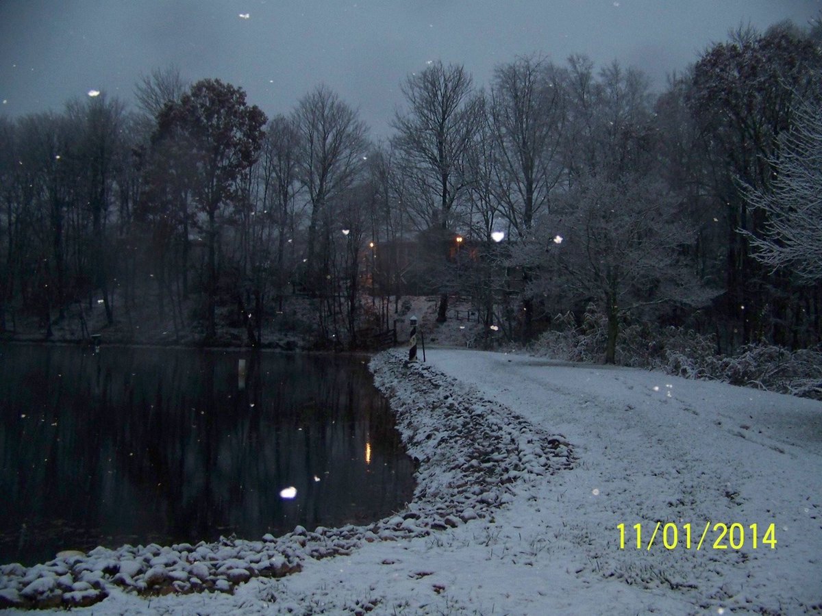 Archillect (@archillect) on Twitter photo 