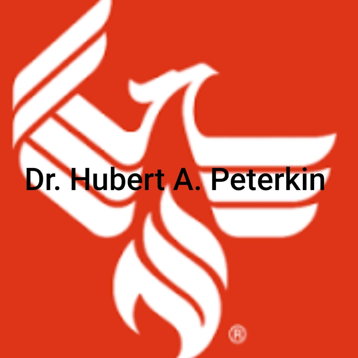 hokesheriff's tweet photo. Sheriff Peterkin is now a Doctoral of Management! https://t.co/PP1WbEuqS4