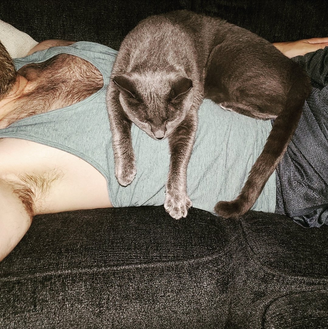 SomaticJet's tweet photo. I've been gone for a week and now she has me pinned down so I don't leave again. #needy #murdermittens #ihavetopee https://t.co/Z4ieTMWsI4