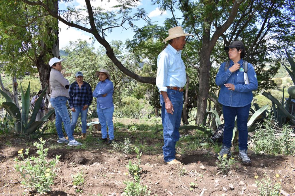 AmbienteMujeres's tweet image. Aquí estamos en La Joya, en el trabajo cotidiano de la producción y entre comunidades. Ya sacamos un pequeño folleto con información y con @AlexCallejas_L estamos por sacar otro. También estamos asociándonos para una reingeniería organizativa con #MasalaLab y hay mas!