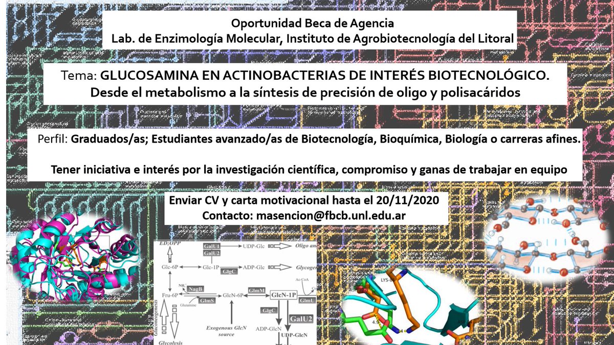 matias_asencion's tweet photo. Disponibilidad de DOC en el Lab. de Enzimologia Molecular del @IAL_CONICET , beca de agencia PICT 2018 00698. Please, RT. https://t.co/lWvKXuDE3W