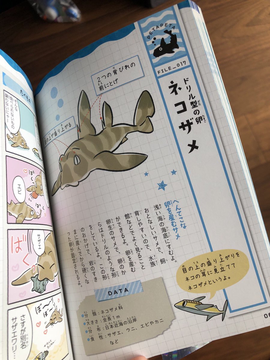 ねこまた 娘がいま気に入ってる本 ゆるゆるサメ図鑑 特にこのネコザメのページがお気に入りの様子 絵が可愛いからキャラクター的なかんじで楽しめているみたい