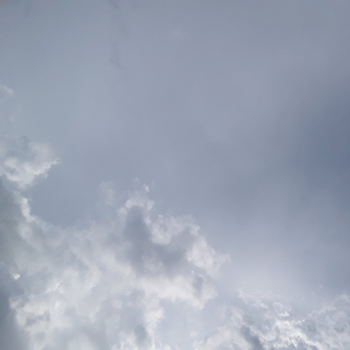 neilellisorts's tweet image. Something happened in the backyard while looking at the sky. Other things happened in the 50 years since. "Faith seeking understanding" describes a lot of what happened in between. #theologythursday #theology #godstuff #HolySpirit