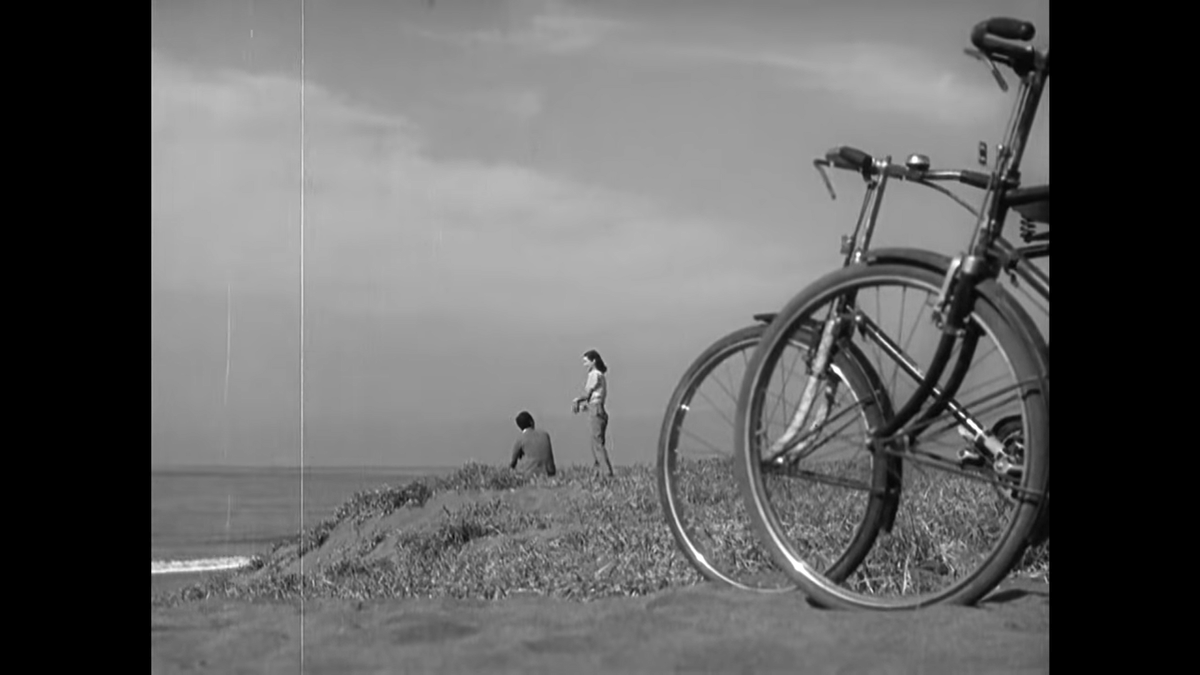 Ozu cuts back to the same long shot as Noriko stands and the scene ends.