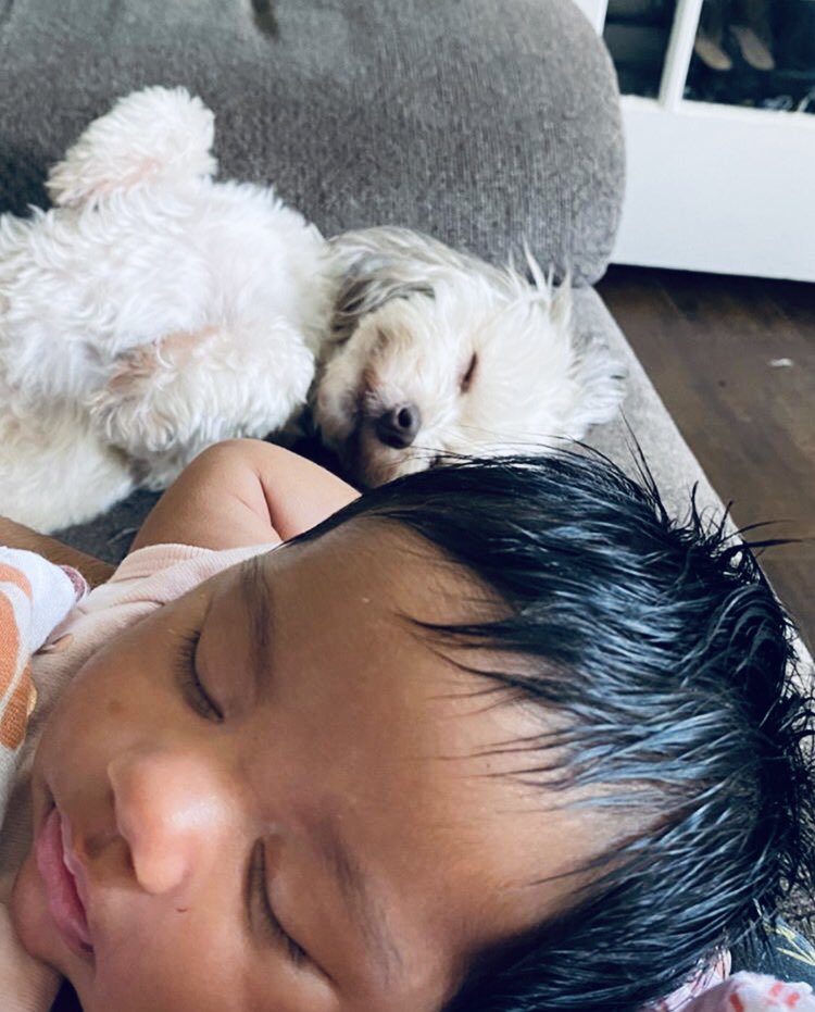 MrsKryzzle's tweet photo. Omg! So freak’n cute! Look at my widdo niece and her pup! 😍😁

•

•

•

•

#toocute #cuties #happybaby #sleepybaby #happypuppy #widdowiddos #longbeach #cali #socute #happyplace #peacefulsleep https://t.co/DQzouv0yeE