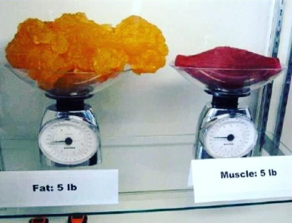 ashmom123's tweet image. PSA!!!!  Do NOT obsess over the numbers on your scale.  In fact, stay off your scale as much as possible. You are doing yourself a huge disservice if you're stepping on that scale everyday.  Not all "weight" is created equal. 
#getoffthescale #bodycomposition #misconceptions