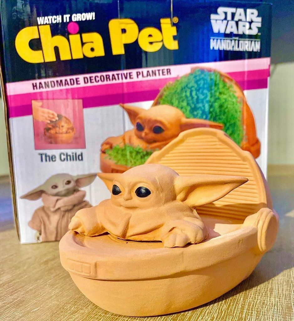DLifestylers's tweet image. Repost from @wonders_of_magic - 🌱🌱🌱Can’t wait to see this little guy grow 🌱🌱🌱It’s available now on @entearth @chiapetofficial 
-
-
-
-
-
-
#wookie #swge #thechild #themandalorian #starwarsgalaxysedge #starwars #disneyland #disney #annualpassholde… instagr.am/p/CEsT32Jl9vt/