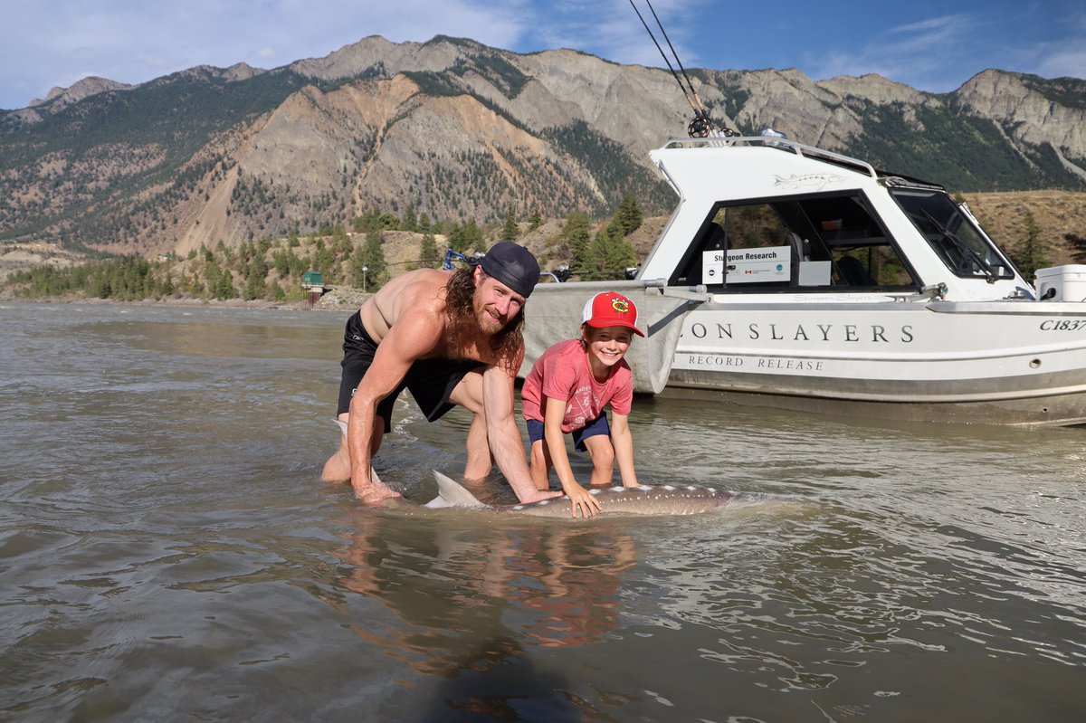 Colton and I went for a fishing trip recently and did some citizen science with conservation based company <a href="/SturgeonSlayers/">Sturgeon Slayers</a> all Dinos are catch and release only in BC. Thanks Kev for a great trip as always. Here are a few pics, more on my IG page.
