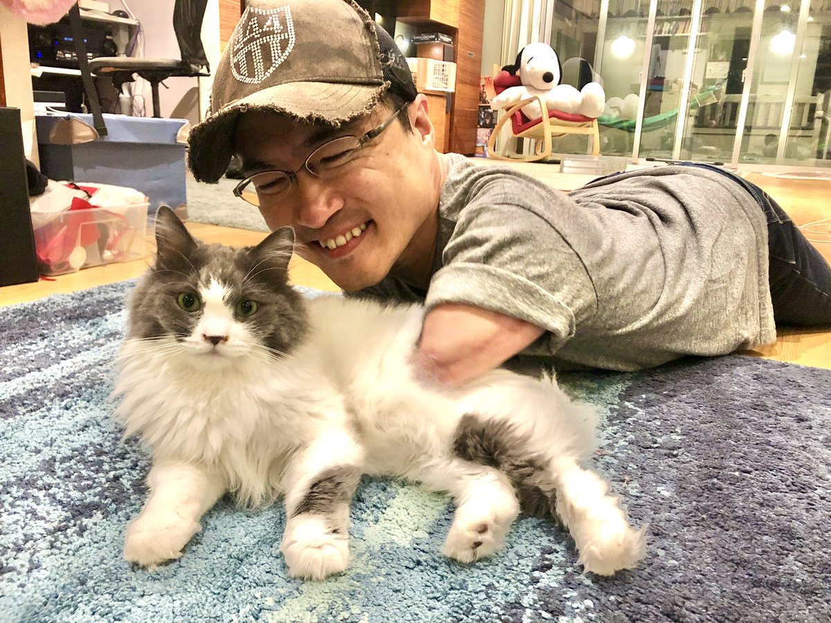 猫と戯れる 猫と戯れる