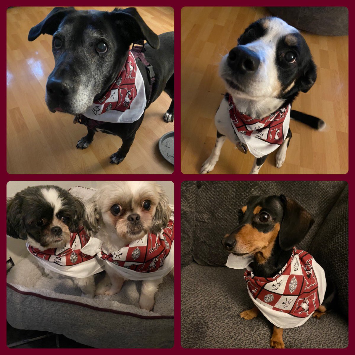 Ms. Jessica Gonzalez tweet media