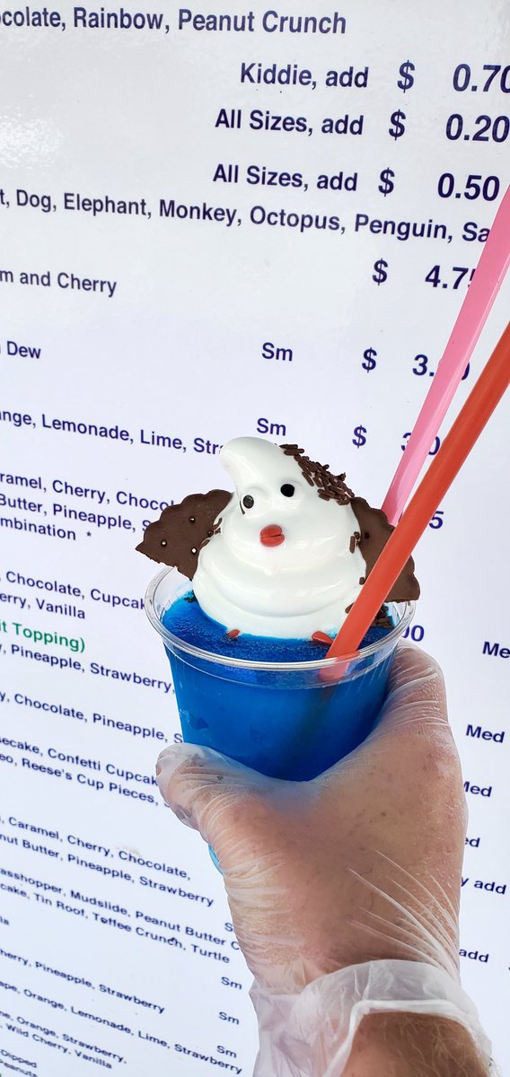 Check out this penguin chillin in the ocean 🐧🌊 we love getting creative for you!! What animal cone will you order next??