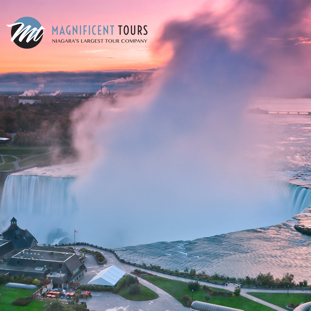 MagTours tweet media