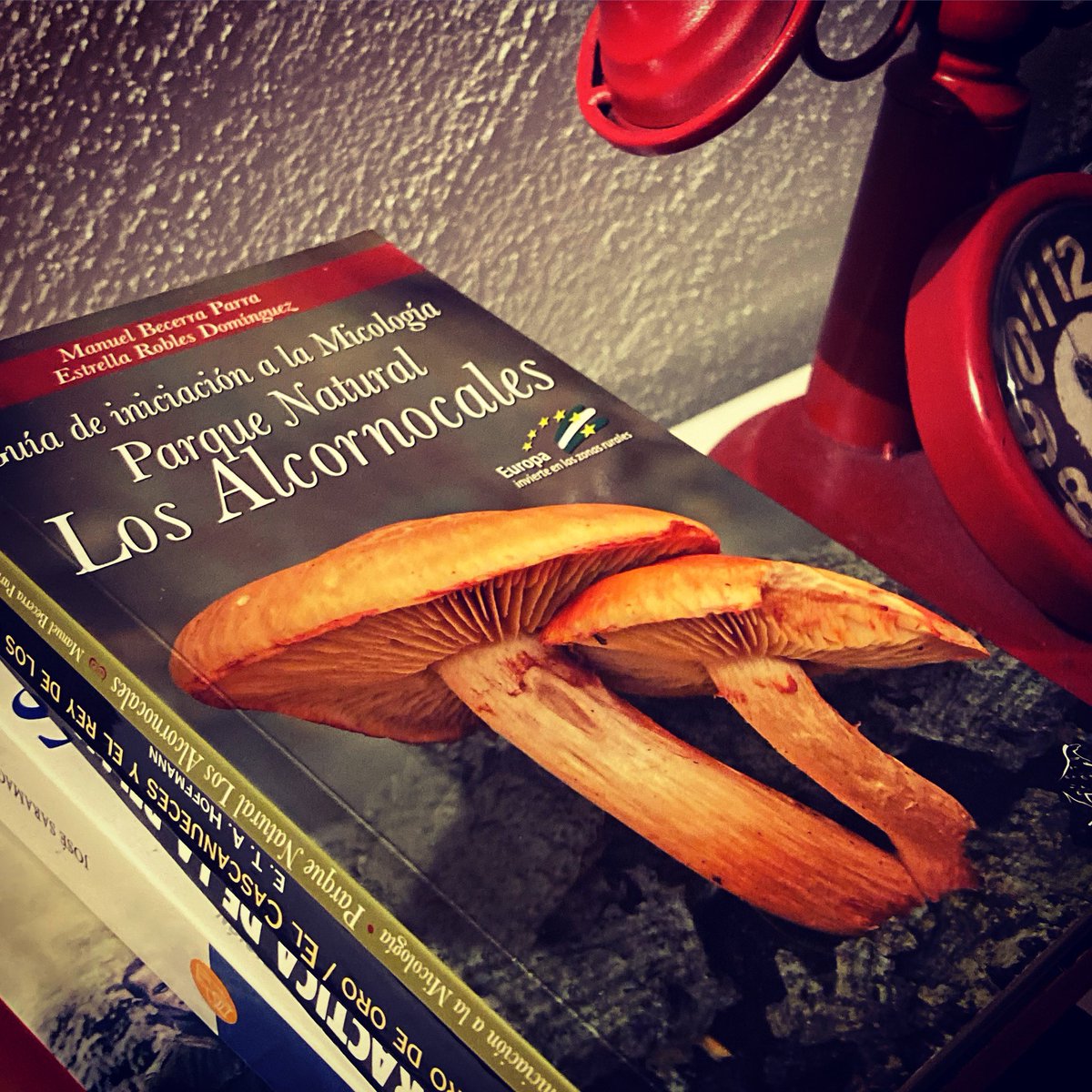 molinodesimon's tweet photo. Y para descansar, un libro 📚 de Manuel Becerra en #molinodesimon #casarural #benaojan #laculturalocura #serraniaderonda #ronda https://t.co/Cxs4kB6WSO