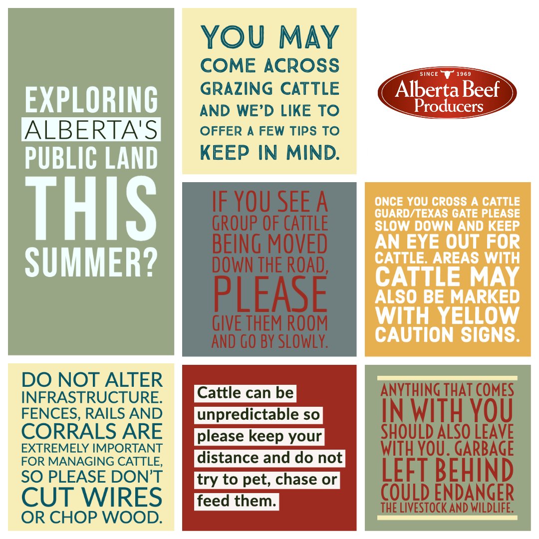 While you’re enjoying Alberta’s great outdoors this long weekend, pay attention to the posted signage and make sure you aren’t trespassing on private land. 
If you’re taking a day trip or camping on public lands you may come across grazing cattle. Here are a few tips to remember.