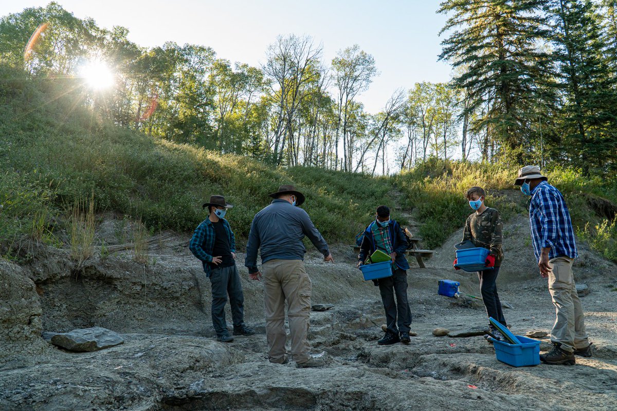ZenSeekers's tweet photo. You can be a palaeontologist for the day in Grande Prairie - or at least learn about dinosaurs. It's the perfect way to #ExploreNWAB. https://t.co/xIec5MLADO
#GPTourism #GrandePlan #ZenSeekers #explorealberta @curriemuseum @Stasher_BC @TravelAlberta https://t.co/FCrK1yKUWm