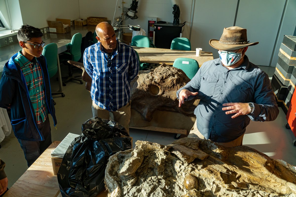 ZenSeekers's tweet photo. You can be a palaeontologist for the day in Grande Prairie - or at least learn about dinosaurs. It's the perfect way to #ExploreNWAB. https://t.co/xIec5N3bvm
#GPTourism #GrandePlan #ZenSeekers #explorealberta @curriemuseum @Stasher_BC @TravelAlberta https://t.co/8afcfstuxp