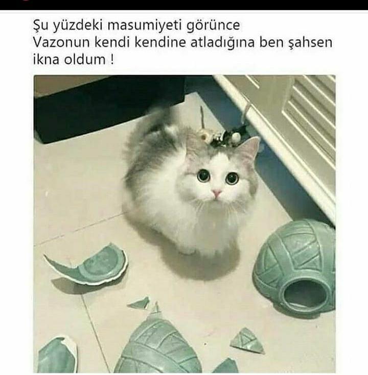 Agasarli.. (@37sac) on Twitter photo 