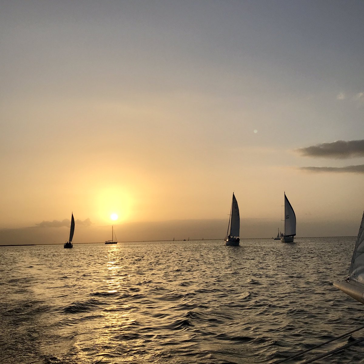 rkambati's tweet photo. Trying out a new boat, it’s super fast and very responsive. #Melges #Escow https://t.co/OvBpNcQpSk
