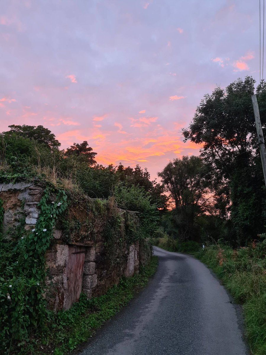 Kernow_Trucker's tweet photo. Beautiful #sunset on our #dogwalk earlier this evening.
#cornishsky #cornishsunset #redskyatnight #home
#polgooth #cornwall
#duchyovenclean
#welovetodothejobyouhate https://t.co/u9pYngAUB3