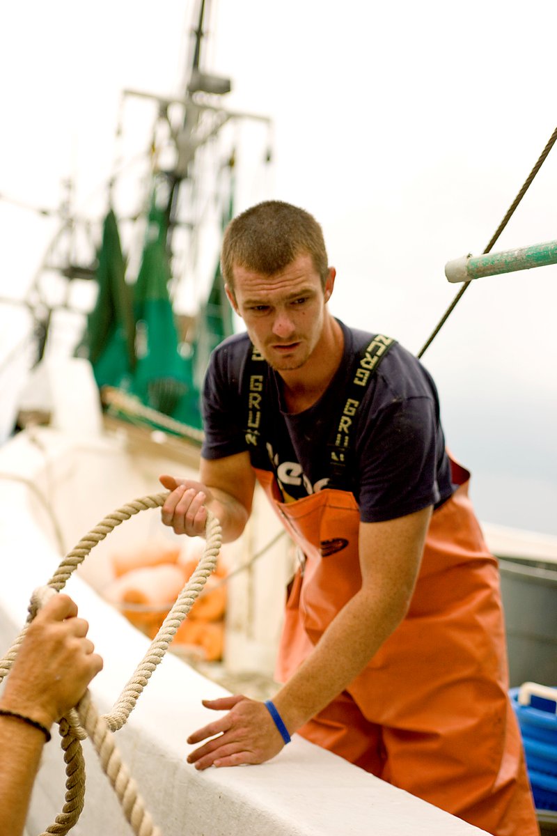 Aligned Media tweet media