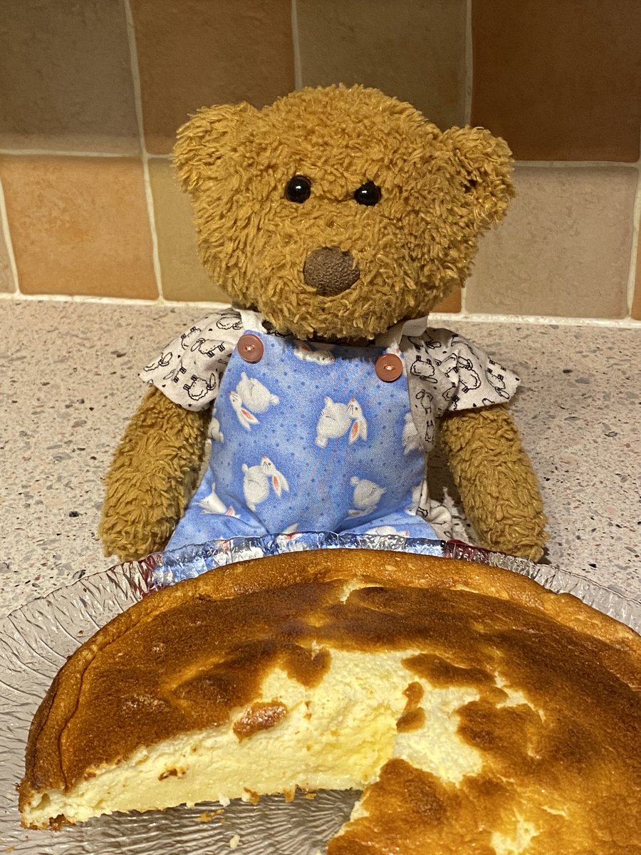 Travel Teddy tweet media