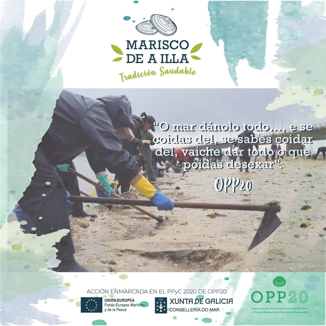 ailladearousa's tweet photo. Retomamos a presentación da campaña de promoción by @OPP20AIlla

#MariscodeAIlla #TradicionSaudable. Será o próximo 9 de setembro na Cidade da Cultura. Precísase invitación por limitación de aforo. https://t.co/urcHIigshP https://t.co/bRLL4e1sB5