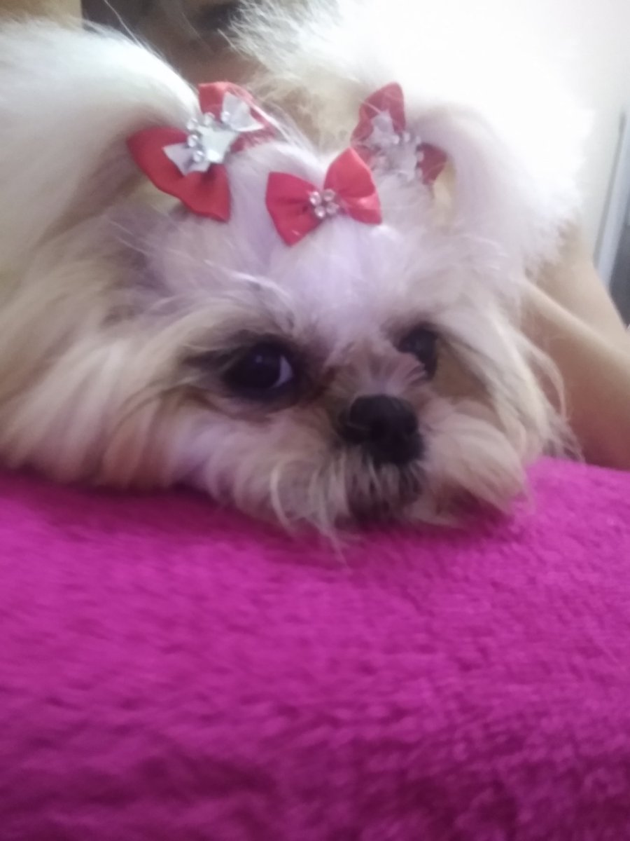 eckodany12's tweet photo. Morro de amor https://t.co/uZ3D0I2gHP