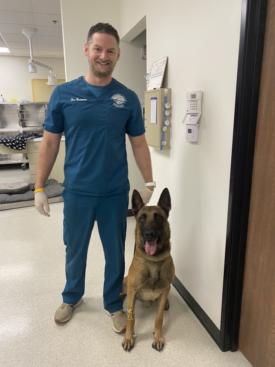 OxnardpoliceK9's tweet photo. Huge thanks to our favorite “dog dentist” Dr. Robert Furman, for keeping K9 Rocky’s teeth healthy and clean! #OxnardPDK9 https://t.co/1Cux30gKWA