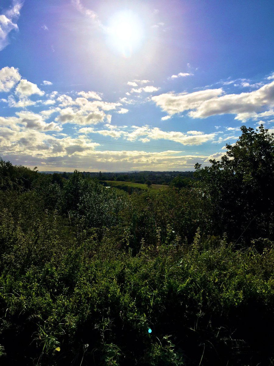illdoitanyway's tweet photo. 4 miles today towards my 72 #MilesForRefugees - had some lovely company for walk round the #Fenspool nature reserve then a swim ๐Thatโs 14 miles so far altogether - you can sponsor me here https://t.co/f5cwHEWDWH https://t.co/ubHTtD8lIn