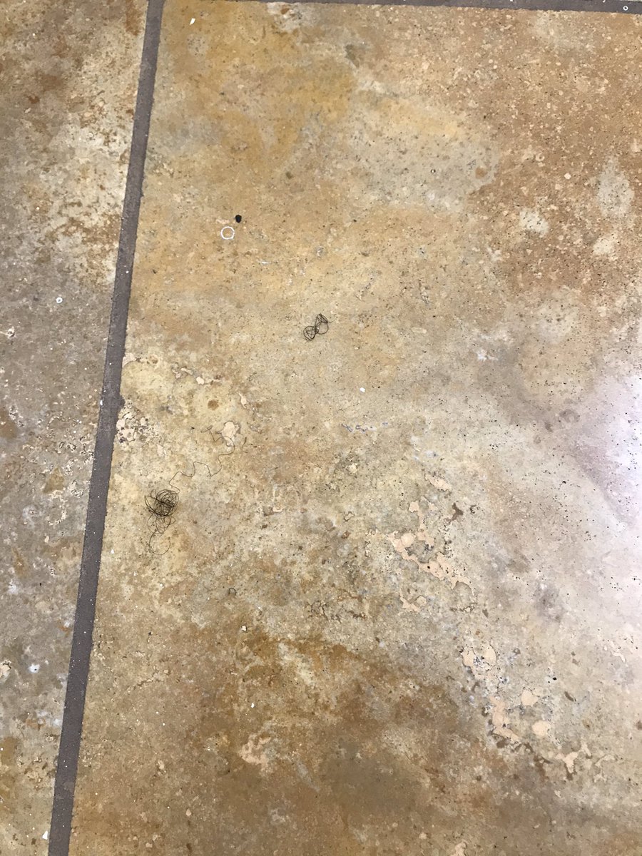 Emshiine's tweet photo. @AirbnbHelp Its been 5 days and @Airbnb has not gotten back to me about my refund of this dirty room https://t.co/kLyaeLOnU4