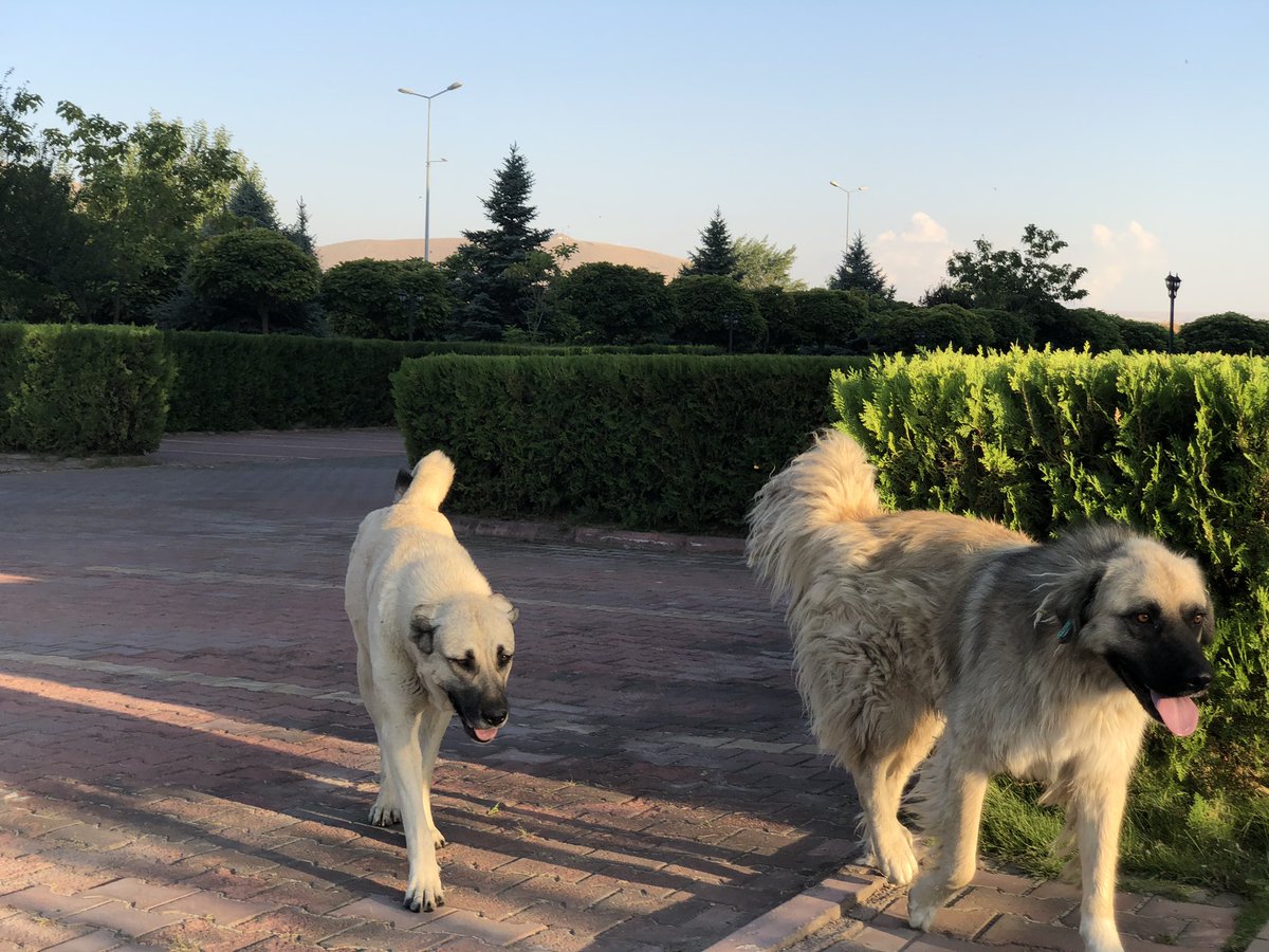 Hepmize hayırlı olsun!

Memnun olanlar memnun olmayanları teselli edecek artık. 

#UzaktanEğitim 
#NiğdekampüsFotoğrafları