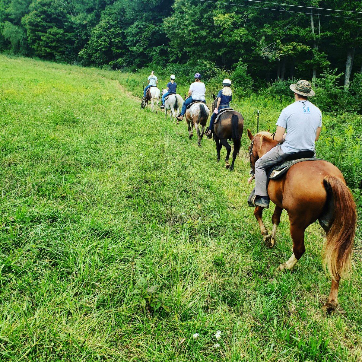 Skyview Ranch tweet media