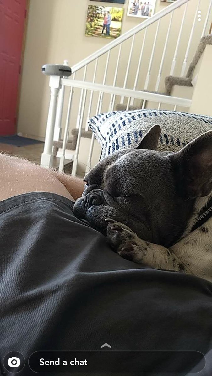 hallehalbkat's tweet photo. This #NewNormal has done a number on my phone's storage. Matt sends me lots of cute snaps of Colorado since he's working from from home and I am obligated to screenshot every one of them. 🐾💕 #DogMom
I've included some for your enjoyment. #SquishFace #COTheBulldog https://t.co/pEh3qzvKT3