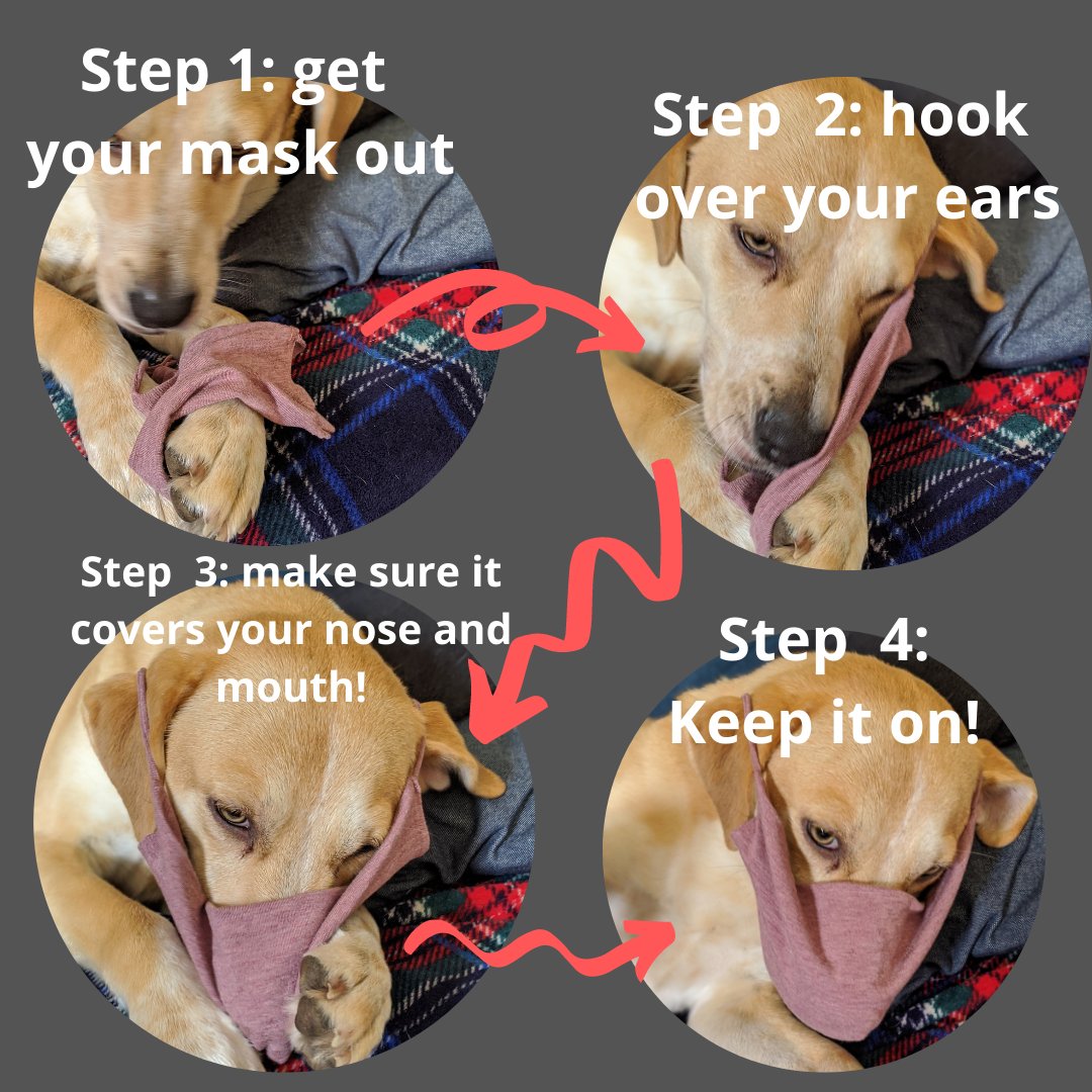 MCSWellness's tweet photo. School starts next week for @RCDSB Make sure you are ready with your mask technique Mustangs! #PPE #BackToSchool https://t.co/8RkELWBAmI