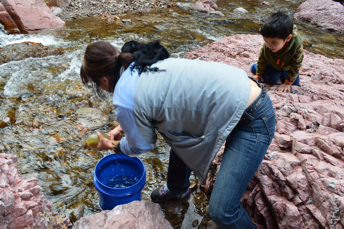 DYK? Of the 14 species of fish that live in the Gila River basin, four of them - the desert sucker, spike dace, Gila trout, and Apache trout - are found nowhere else in the world? #WildandScenic means giving wildlife a chance to thrive.