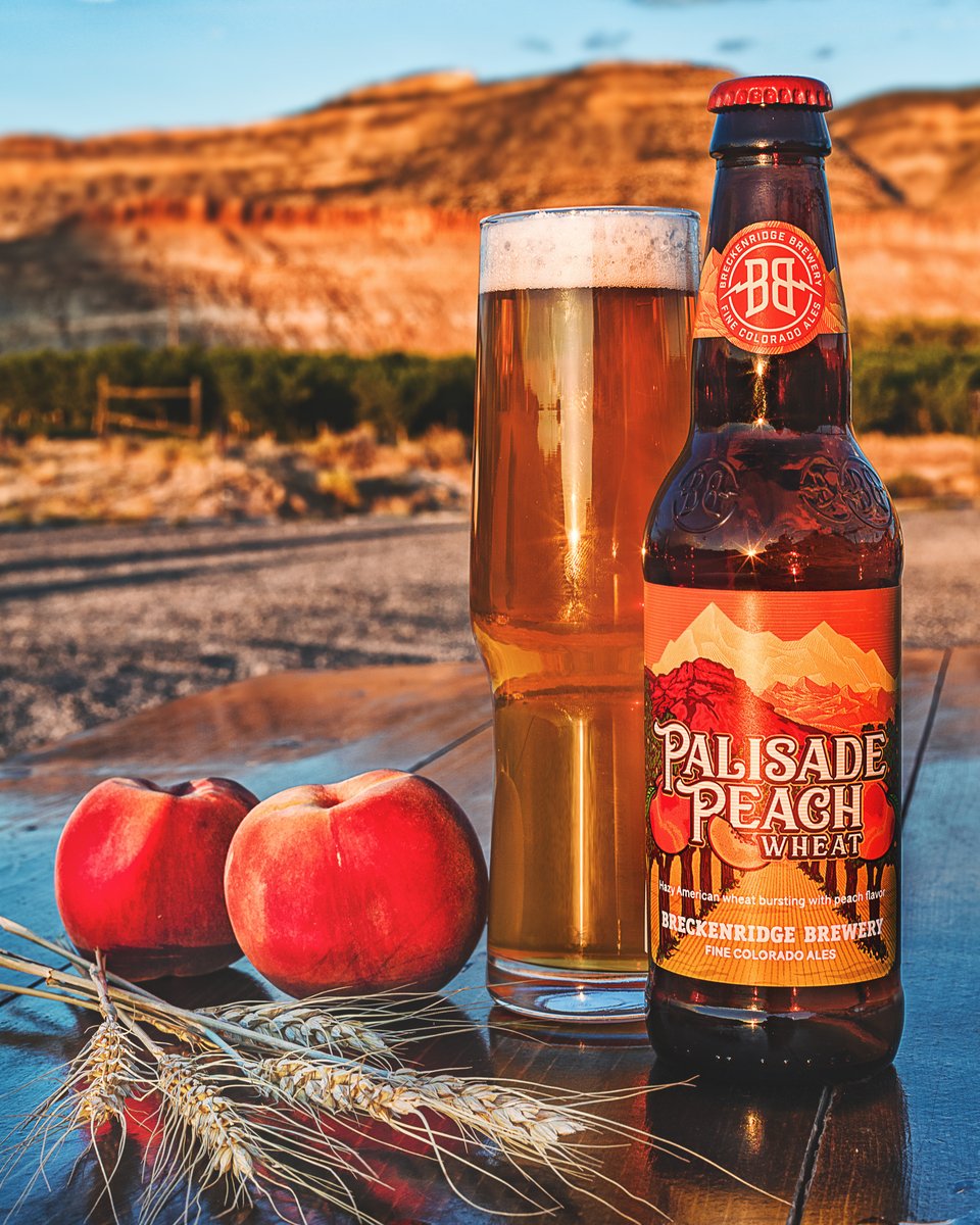 BreckBrew's tweet photo. Introducing Palisade Peach Wheat! 🍑🍺 Utilizing only the finest peaches from Palisade Colorado. The fruit forward American style wheat ale is bursting with bright and juicy peach flavor from the farms of @TalbottsCiderCo!

Find some
➡️ https://t.co/mhLWiID755

#BreckBrew https://t.co/qFTQeUvcKk