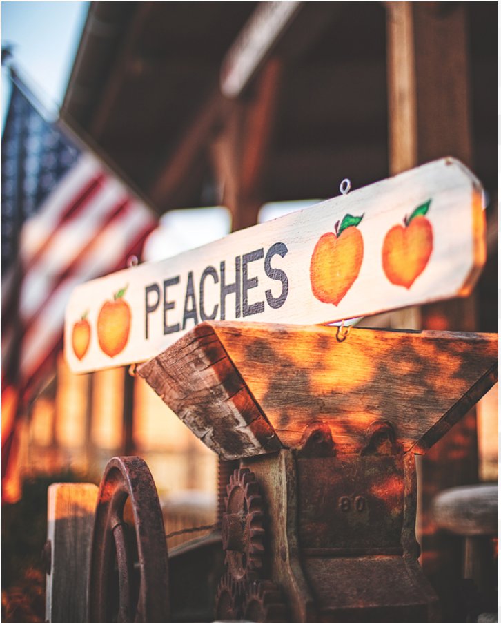 BreckBrew's tweet photo. Introducing Palisade Peach Wheat! 🍑🍺 Utilizing only the finest peaches from Palisade Colorado. The fruit forward American style wheat ale is bursting with bright and juicy peach flavor from the farms of @TalbottsCiderCo!

Find some
➡️ https://t.co/mhLWiID755

#BreckBrew https://t.co/qFTQeUvcKk