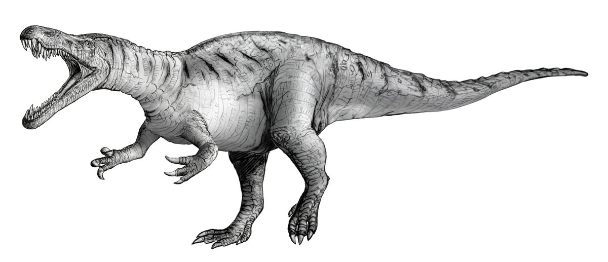 Le Suchomimus est un dinosaure de l'ordre des Spinosauridæ ayant vécu au Crétacé Inférieur dans ce qui est maintenant l'Afrique du NordD