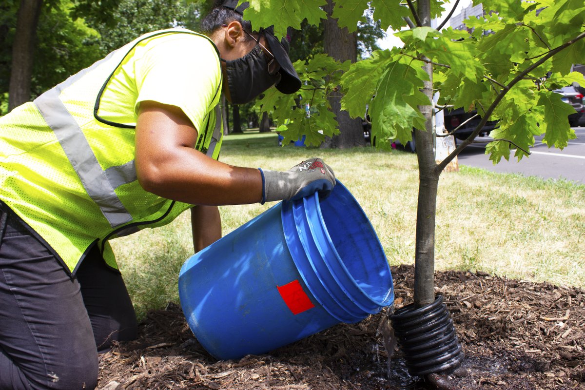 Openlands's tweet photo. Do you want to learn how to take care of Chicago's trees? Registration is now open for the Fall 2020 Openlands TreeKeepers Course, where you will learn how to identify and care for local trees, and help advocate for Chicago's urban canopy! Register here: https://t.co/XUCppda4qd https://t.co/IgyvGzOdFh