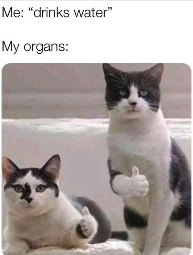 iFunny's tweet photo. https://t.co/NRyrdo3FtF