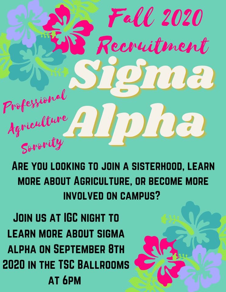 Lexi Gorrell (@gorrelllexi) on Twitter photo 