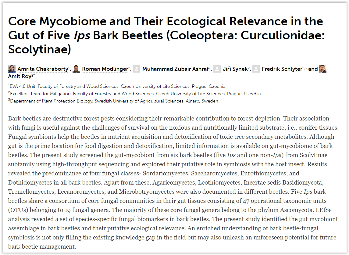 RModlinger's tweet photo. NEW ARTICLE in @FrontMicrobiol - Core Mycobiome and Their Ecological Relevance in the Gut of Five Ips Bark Beetles (Coleoptera: Curculionidae: Scolytinae) #Microbiology #barkbeetle https://t.co/6DjzxKU8zW https://t.co/LINR9d9JIx
