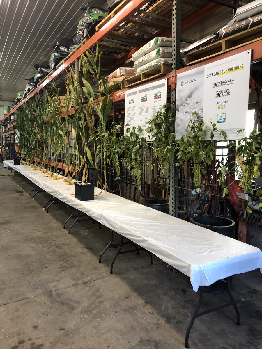 sorensenseedllc's tweet photo. WOW!
Thank you to everyone who came out for great food and fellowship. We enjoyed talking farming and sharing the excitement for harvest.
#beckshybrids #corn #beans #fieldshow #sorensenseed https://t.co/mCxrVt0KSC