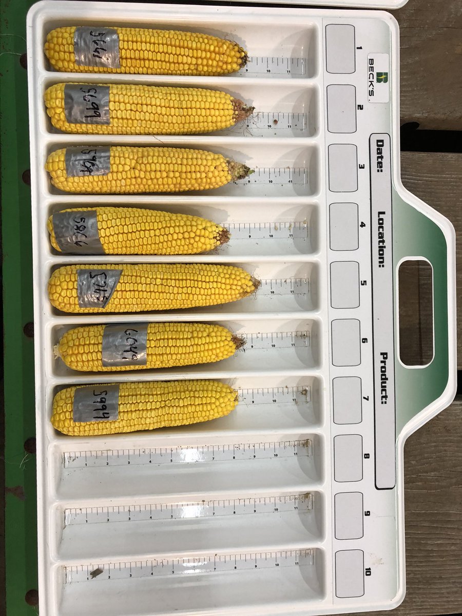 sorensenseedllc's tweet photo. WOW!
Thank you to everyone who came out for great food and fellowship. We enjoyed talking farming and sharing the excitement for harvest.
#beckshybrids #corn #beans #fieldshow #sorensenseed https://t.co/mCxrVt0KSC