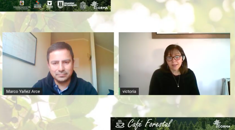 cormachile's tweet photo. #AHORA Estamos junto a Pablo Ramírez de #Bioforest y Almarino Navarrete de @UAustraldeChile, en un nuevo #CaféForestal☕️, para conversar sobre “Restauración del bosque nativo” 🌳
Síguelo #EnVivo por 👩💻
YouTube💻 https://t.co/e6uA0PWN9L
Facebook💻 https://t.co/GayNkzyVC8 https://t.co/8Rcft0kudE