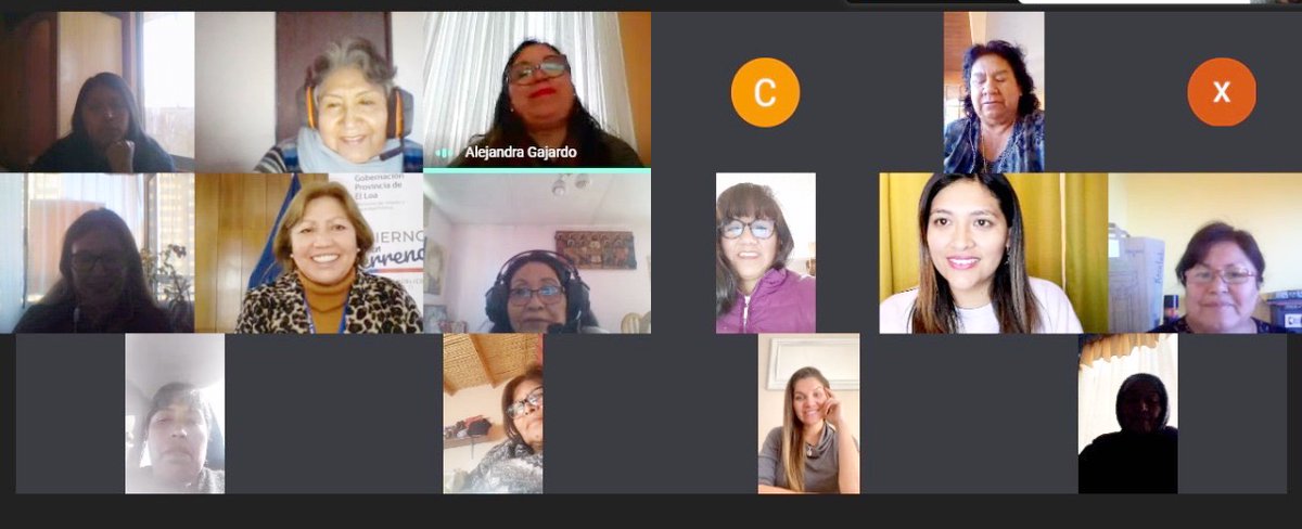 🍃25 integrantes de Mesa de la Mujer Rural e Indígena de las comunidades del interior de región #Antofagasta asistieron al taller para prevenir las violencias del SernamEG, junto a @loa_gober y <a href="/MMEGAntofagasta/">Seremi Mujer y Equidad de Género Antofagasta</a> ☎️Recibe orientación de forma silenciosa por whatsapp +569 9700 7000